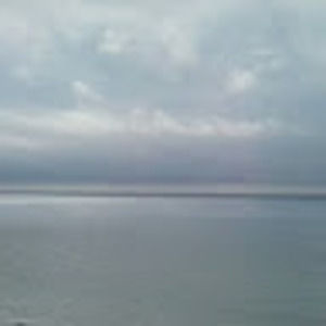 Meet your Posher, Tamara turner